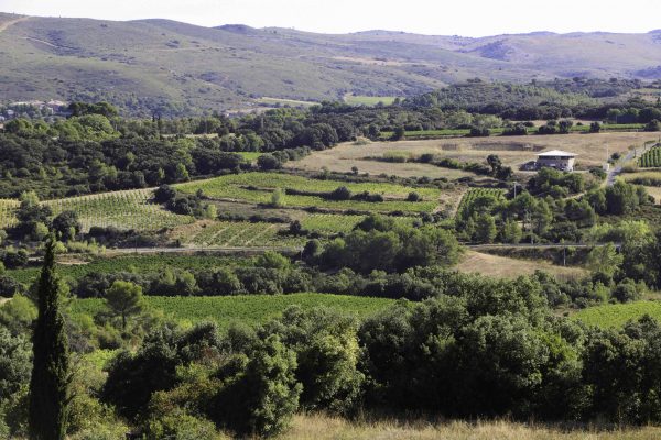 Vignobles des Charmes de Château Haut-Blanville