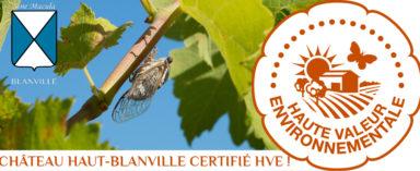 Château Haut-Blanville certified "High Environmental Value"
