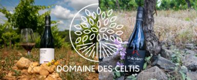 Domaine des Celtis, new member of the Blanville Family !