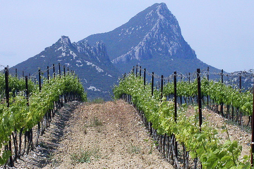 Domaine de l'Hortus, oenotourisme proche Montpellier