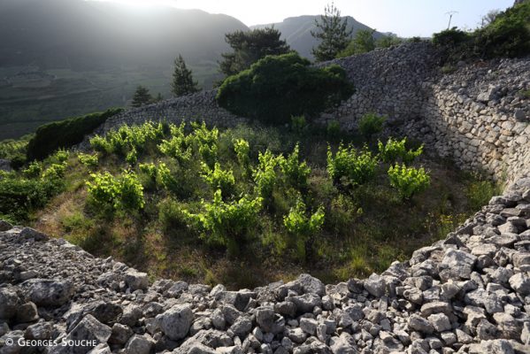 Terrasses du Larzac - Proche Montpellier